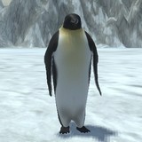 Маленький Пингвин 3D